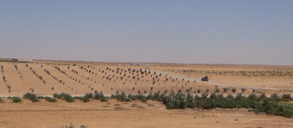 Syria Hama - Sputnik International