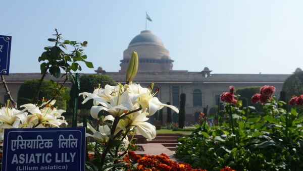 Asiatic Lily's bloom in the Mughal Gardens at Rashtrapati Bhawan, the Presidential Palace, in New Delhi - Sputnik International