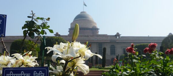 Asiatic Lily's bloom in the Mughal Gardens at Rashtrapati Bhawan, the Presidential Palace, in New Delhi - Sputnik International