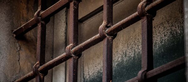 Prison. (File) Prison. (File) - Sputnik International