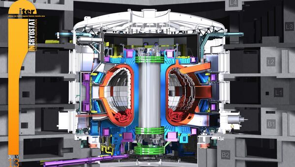 The Configuration Management Model of the ITER Tokamak, without its plasma, produced by the Design Integration Section in July 2013. - Sputnik International