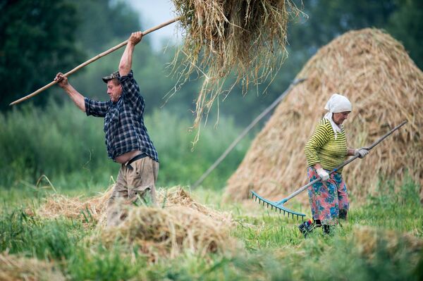 Жители деревни Бобровка Омской области во время заготовки сена - Sputnik International