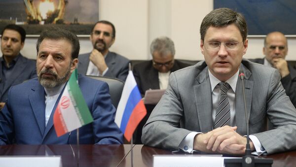 Russian Energy Minister Alexander Novak's meeting with Iranian IT Minister Mahmoud Vaezi - Sputnik International