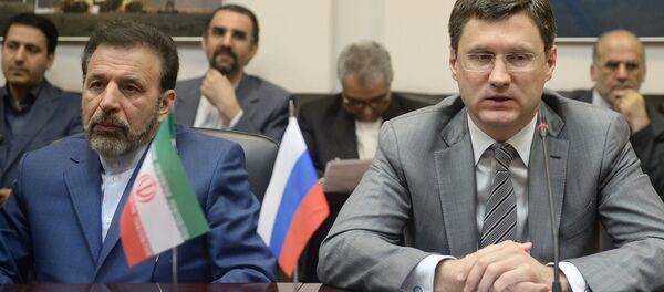 Russian Energy Minister Alexander Novak's meeting with Iranian IT Minister Mahmoud Vaezi Russian Energy Minister Alexander Novak's meeting with Iranian IT Minister Mahmoud Vaezi - Sputnik International