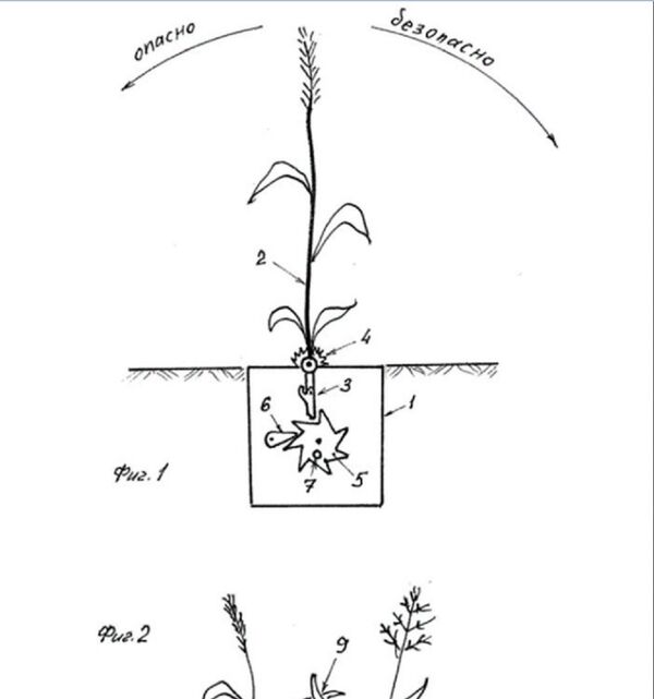 Mine-stalk - Sputnik International