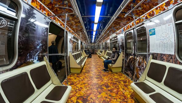Striped Express Moscow Metro Train - Sputnik International