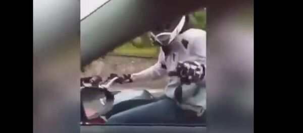 Road Rage - Sputnik International