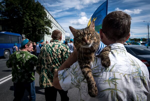 Кот на руках у мужчины во время празднования дня ВДВ в Санкт-Петербурге - Sputnik International
