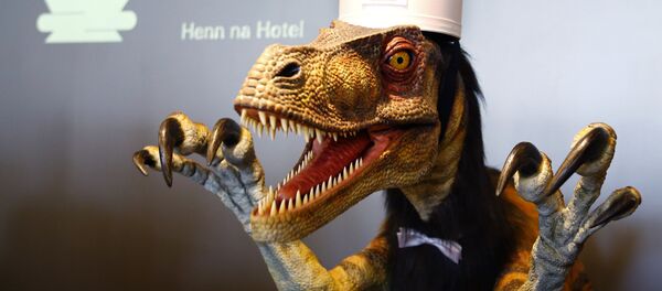In this July 15, 2015 photo, a receptionist dinosaur robot performs at the new robot hotel, aptly called Henn na Hotel or Weird Hotel, in Sasebo, southwestern Japan In this July 15, 2015 photo, a receptionist dinosaur robot performs at the new robot hotel, aptly called Henn na Hotel or Weird Hotel, in Sasebo, southwestern Japan - Sputnik International