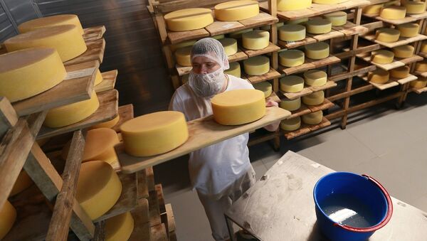 Cheese blocks are washed and put into the cheese maturation storage at the Russky Parmezan cheese factory in the Istra Region of the Moscow Region. - Sputnik International