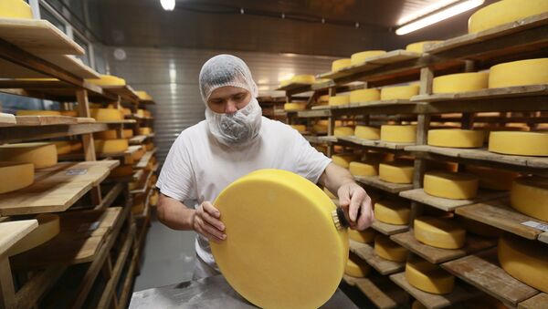 Cheese blocks are washed and put into the cheese maturation storage at the Russky Parmezan cheese factory in the Istra Region of the Moscow Region - Sputnik International