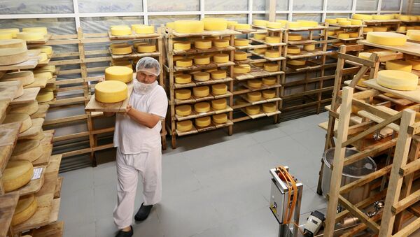 Farmer Oleg Sirota rearranges cheese blocks in the cheese ripening room at Russian Parmesan cheese dairy is Moscow Region's Istrinsky district - Sputnik International