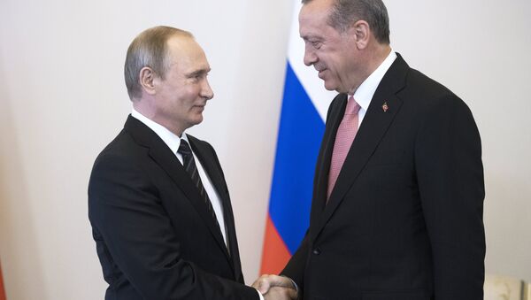 Russian President Vladimir Putin meets with Turkish President Recep Tayyip Erdogan at the Constantine Palace. - Sputnik International