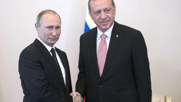 Russian President Vladimir Putin meets with Turkish President Recep Tayyip Erdogan at the Constantine Palace. - Sputnik International