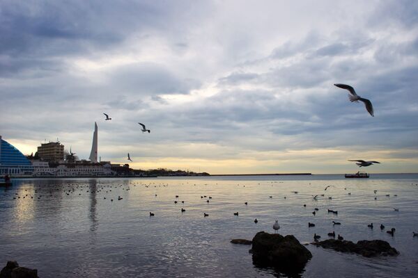 Russian regions. Sevastopol Russian regions. Sevastopol - Sputnik International