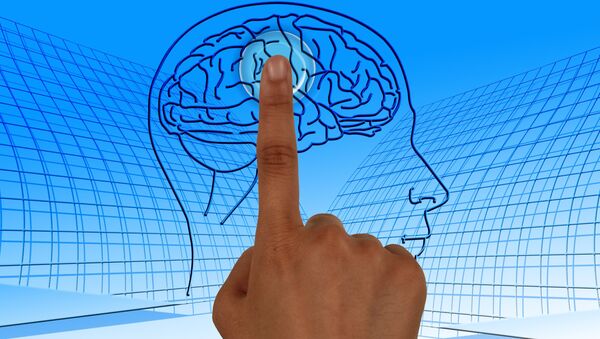 Finger pointing to an image of a brain - Sputnik International