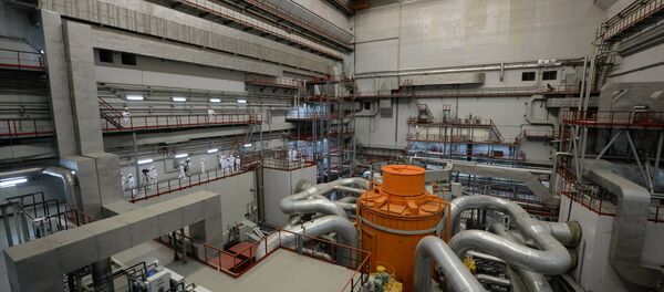 The central hall of the fourth generating unit with a BN-800 nuclear reactor at the Beloyarskaya Nuclear Power Plant in Zarechny, Sverdlovsk Region The central hall of the fourth generating unit with a BN-800 nuclear reactor at the Beloyarskaya Nuclear Power Plant in Zarechny, Sverdlovsk Region - Sputnik International