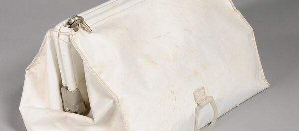 Priceless Space Artifact Accidentally Sold at Government Auction Priceless Space Artifact Accidentally Sold at Government Auction - Sputnik International