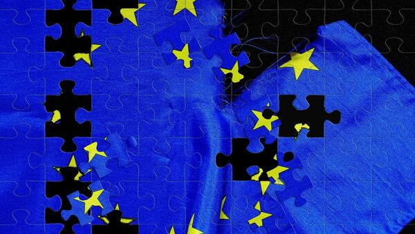Euro puzzle - Sputnik International