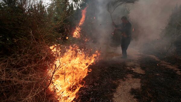 A man works to extinguish a forest fire in Arbo in the northwest Spanish region of Galicia, August 11, 2016 - Sputnik International