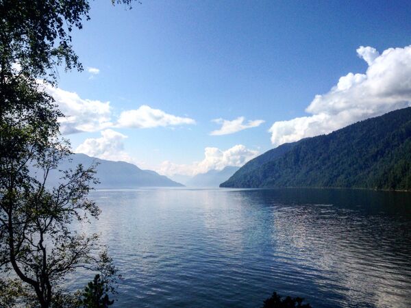 Teletskoye lake in the Altai Mountains Teletskoye lake in the Altai Mountains - Sputnik International