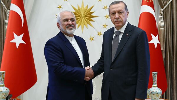 Turkish President Recep Tayyip Erdogan, right, shake hands with the Iranian Foreign Minister Mohammad Javad Zarif, during their meeting in Ankara, Friday, Aug. 12, 2016 - Sputnik International