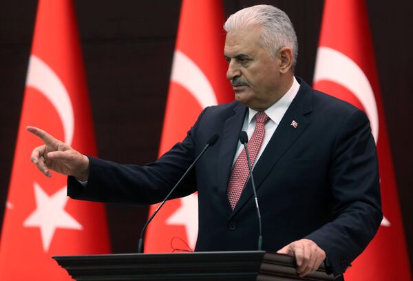 Turkish Prime Minister Binali Yildirim at the Cankaya Palace in Ankara (File) Turkish Prime Minister Binali Yildirim at the Cankaya Palace in Ankara (File) - Sputnik International