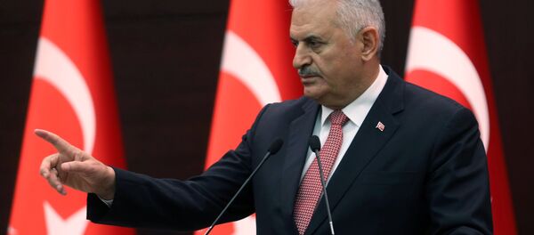 Turkish Prime Minister Binali Yildirim at the Cankaya Palace in Ankara (File) Turkish Prime Minister Binali Yildirim at the Cankaya Palace in Ankara (File) - Sputnik International