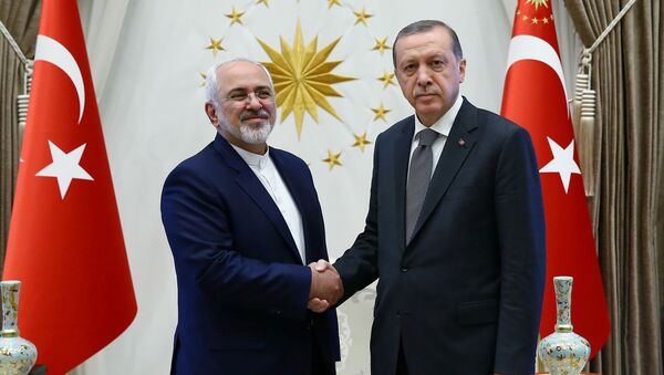 Turkey's President Tayyip Erdogan shakes hands with Iranian Foreign Minister Mohammad Javad Zarif (L) as they meet at the Presidential Palace in Ankara, Turkey, August 12, 2016 - Sputnik International