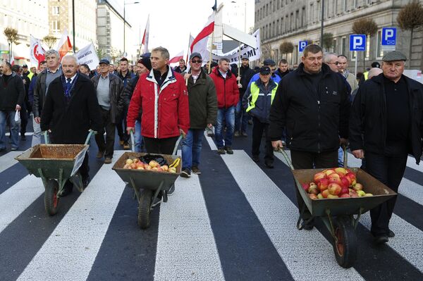 Hundreds of Polish farmers and horticulturists staged a march in Warsaw in protest against Russia's ban on the import of their fruit and vegetables. File photo - Sputnik International