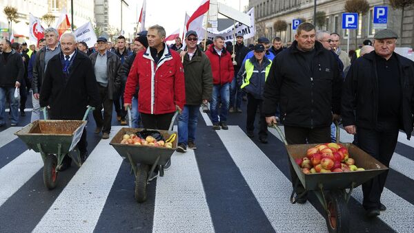 Hundreds of Polish farmers and horticulturists staged a march in Warsaw in protest against Russia's ban on the import of their fruit and vegetables. File photo - Sputnik International
