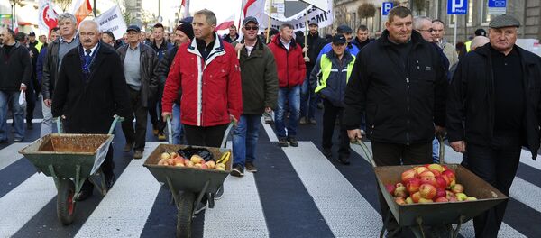 Hundreds of Polish farmers and horticulturists staged a march in Warsaw in protest against Russia's ban on the import of their fruit and vegetables. File photo Hundreds of Polish farmers and horticulturists staged a march in Warsaw in protest against Russia's ban on the import of their fruit and vegetables. File photo - Sputnik International
