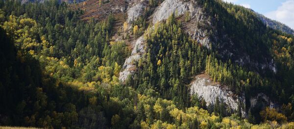 Autumn in Altai Republic Autumn in Altai Republic - Sputnik International