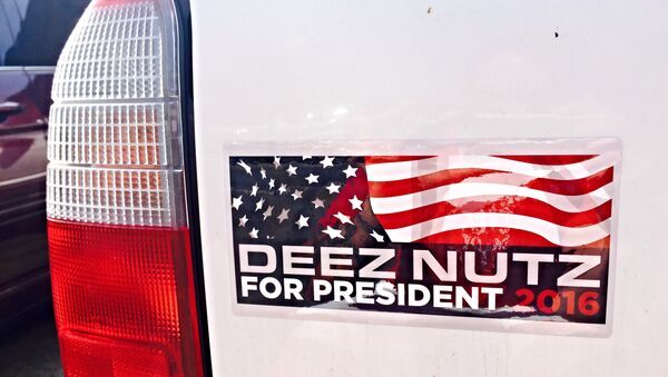 FEC ‘Will No Longer Tolerate’ Fake Candidates Like ‘Deez Nuts’ - Sputnik International