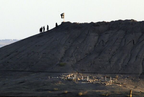 In this file photo Daesh terrorists are seen after placing their group's flag on a hilltop at the eastern side of the town of Kobani, Syria In this file photo Daesh terrorists are seen after placing their group's flag on a hilltop at the eastern side of the town of Kobani, Syria - Sputnik International
