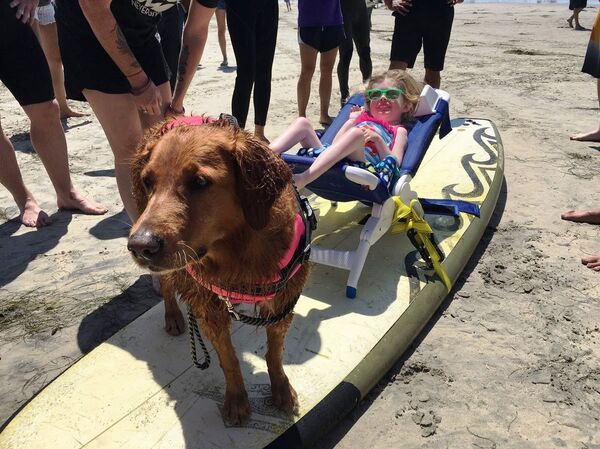 Surf dog Ricochet - Sputnik International