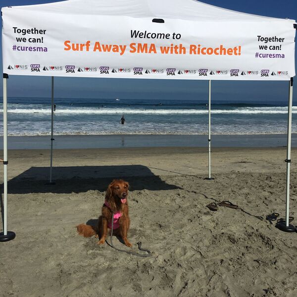 Surf dog Ricochet - Sputnik International