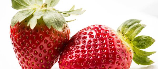 Strawberries - Sputnik International