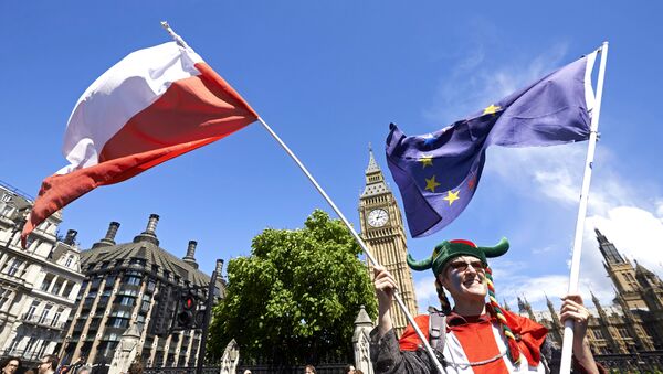 A woman holds up a Polish and European flags in Parliament Square as thousands of protesters take part in a March for Europe, through the centre of London on July 2, 2016, to protest against Britain's vote to leave the EU. - Sputnik International