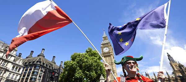A woman holds up a Polish and European flags in Parliament Square as thousands of protesters take part in a March for Europe, through the centre of London on July 2, 2016, to protest against Britain's vote to leave the EU. - Sputnik International