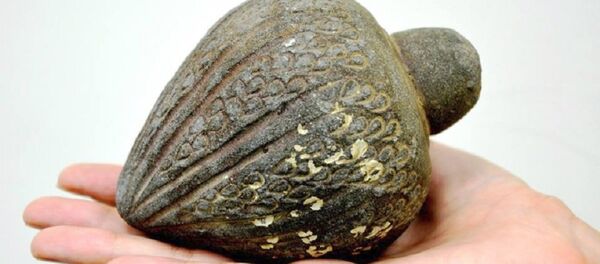 Items Thousands of Years Old that were Retrieved from the Sea were Turned Over to the Israel Antiquities Authority - Sputnik International