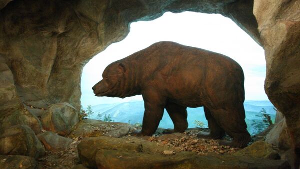 Image of a cave bear - Sputnik International