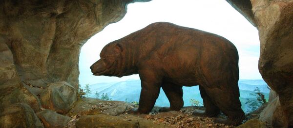 Image of a cave bear Image of a cave bear - Sputnik International