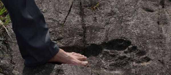 Foot - Sputnik International