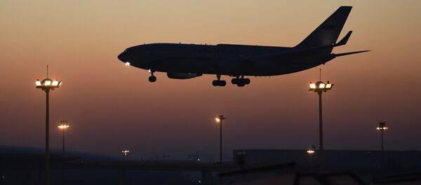 Plane. (File) - Sputnik International