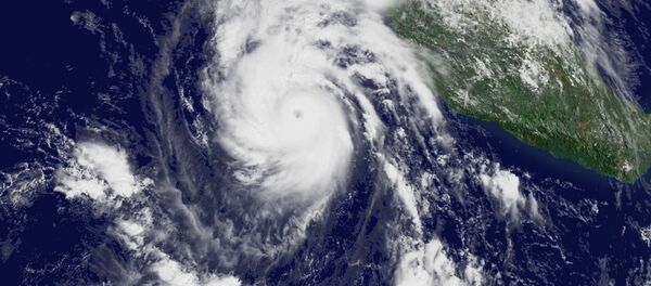 This National Oceanic and Atmospheric Administration (NOAA) satellite handout image shows Hurricane Jimena located south of Cabo San Lucas, Mexico on August 31, 2009 - Sputnik International
