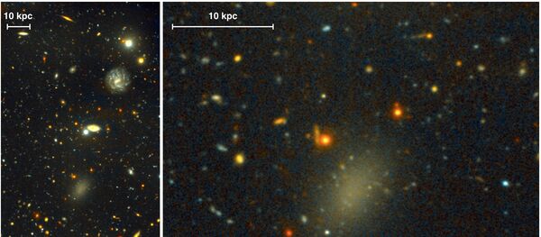 The dark galaxy Dragonfly 44 The dark galaxy Dragonfly 44 - Sputnik International