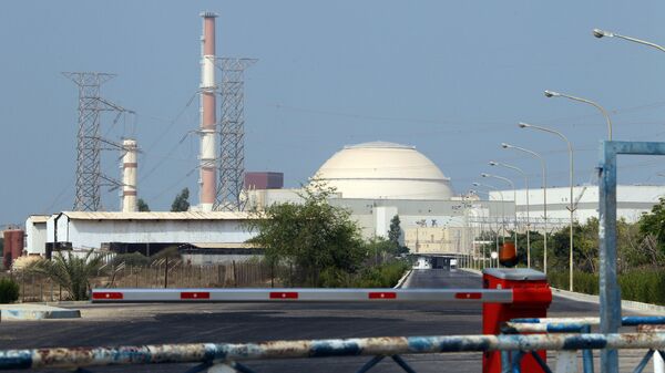 A general view shows the reactor building at the Bushehr nuclear power plant in southern Iran, 1200 kms south of Tehran, on August 20, 2010 - Sputnik International