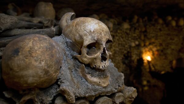 In this photo taken Tuesday, Oct. 14, 2014, skulls and bones are stacked at the Catacombs in Paris, France - Sputnik International