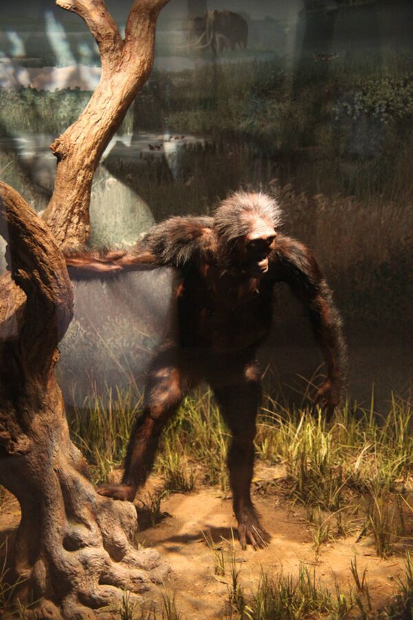 Robot Lucy To Probe 'Trojan Asteroids' In Search Of Origins of Life On Pioneering NASA Mission Robot Lucy To Probe 'Trojan Asteroids' In Search Of Origins of Life On Pioneering NASA Mission - Sputnik International